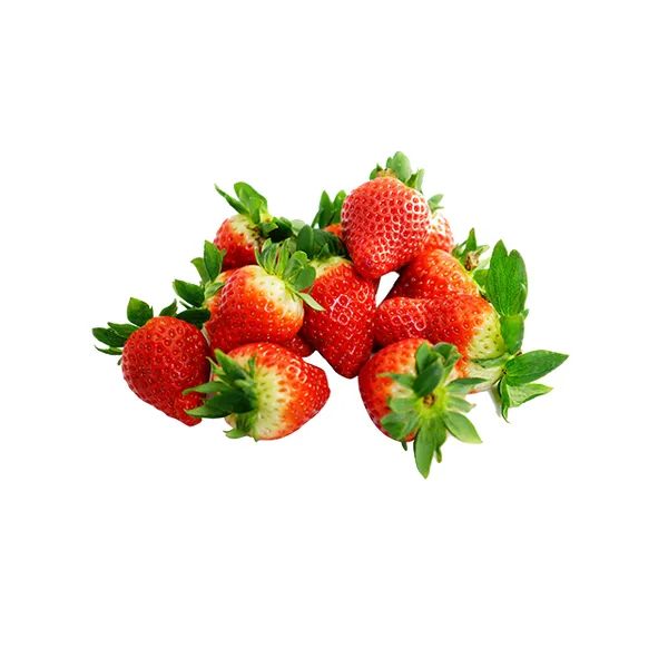  (SEO Title: limited to 70 characters.)